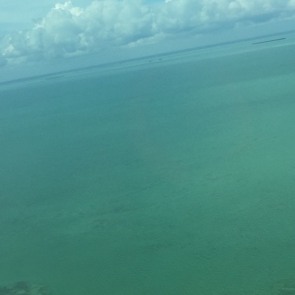 Meet your Posher, Michael - Picture 1 of 1